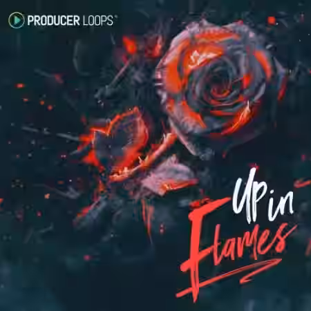Producer Loops Up In Flames [MULTiFORMAT] - Sample Pack Artwork