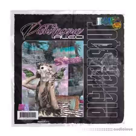 ProducerGrind PICTURESQUE One Shot Kit [WAV] - Sample Pack Artwork