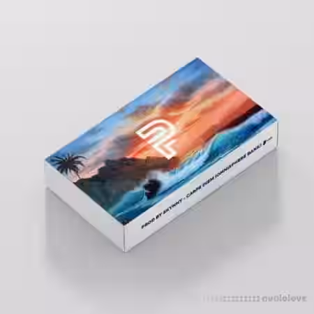 ProducerStandard Carpe Diem [Synth Presets] - Sample Pack Artwork