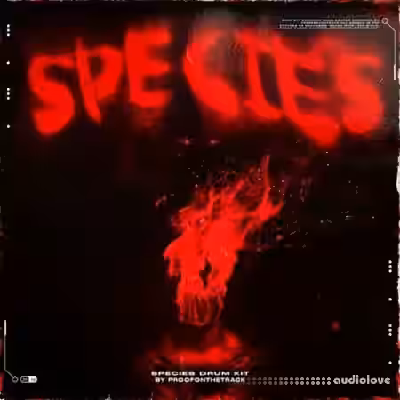 ProofOnTheTrack Spicies Drum Kit [WAV, MiDi] - Sample Pack Artwork