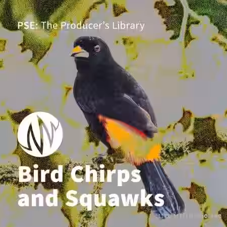 PSE: The Producer's Library Bird Chirps and Squawks [WAV] - Sample Pack Artwork