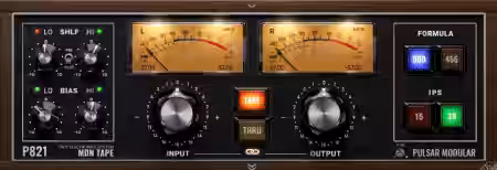 Pulsar Modular P821 MDN Tape v1.0.1 [WiN] - Sample Pack Artwork