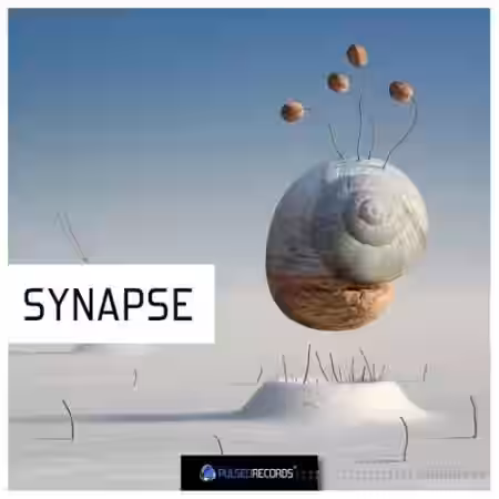 Pulsed Records Synapse [WAV] - Sample Pack Artwork