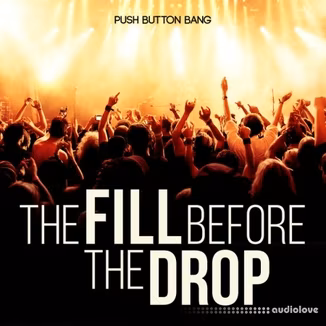 Push Button Bang The Fill Before The Drop [WAV]