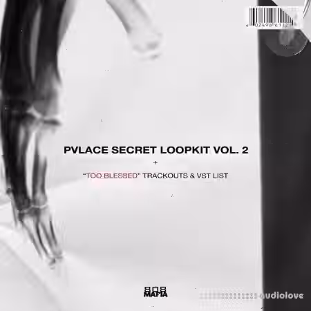 PVLACE Secret Loopkit Vol.2 [WAV] - Sample Pack Artwork