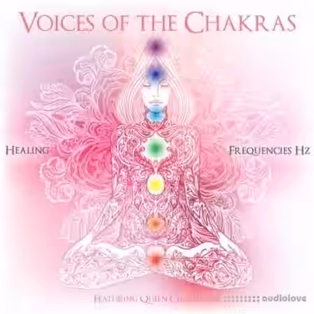 Queen Chameleon Voices Of The Chakras [WAV] - Sample Pack Artwork