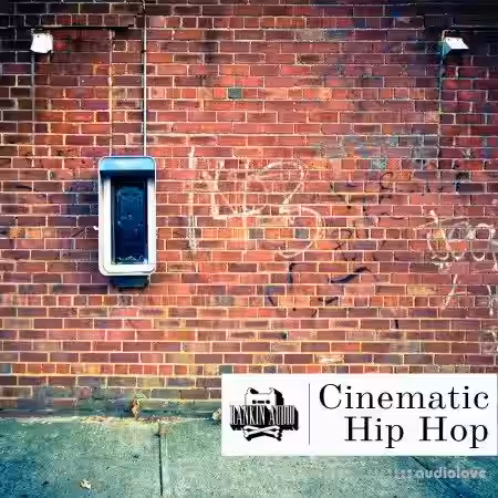 Rankin Audio Cinematic Hip Hop [WAV] - Sample Pack Artwork