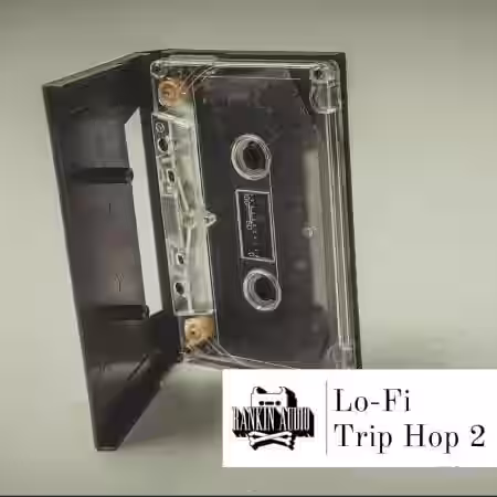 Rankin Audio Lo-Fi Trip Hop 2 [WAV] - Sample Pack Artwork