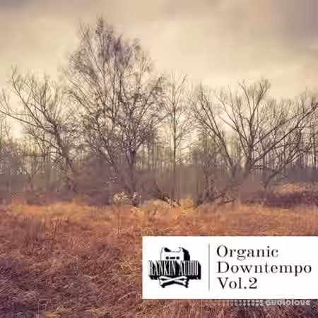 Rankin Audio Organic Downtempo Vol.2 [WAV] - Sample Pack Artwork