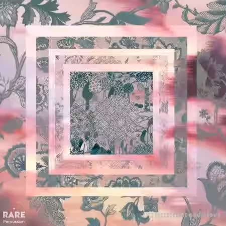 RARE Percussion 2SCOOPS x Neighborhood Watch Silence In Nature [WAV] - Sample Pack Artwork