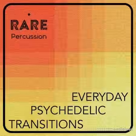 RARE Percussion Everyday Psychedelic Transitions Vol.1 [WAV] - Sample Pack Artwork