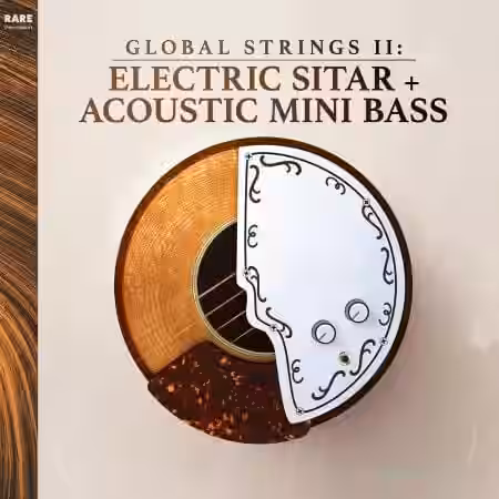 RARE Percussion Global Strings Vol.2: Electric Sitar and Mini Bass [WAV] - Sample Pack Artwork