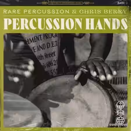 RARE Percussion Percussion Hands Vol.1 [WAV] - Sample Pack Artwork