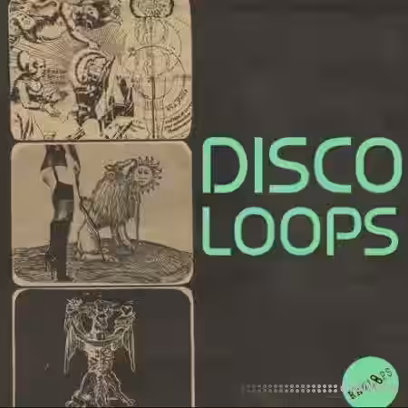 Raw Loops Disco Loops [WAV] - Sample Pack Artwork
