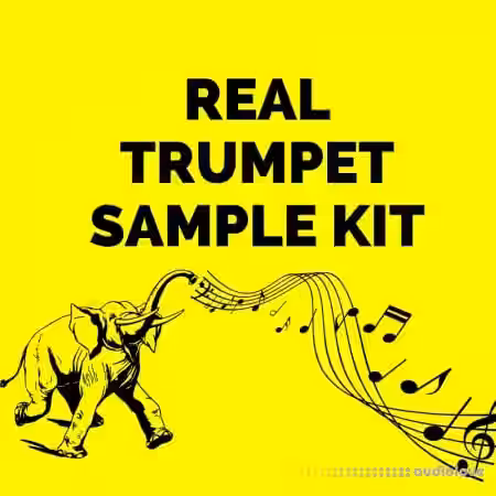 Real Trumpet Sample Kit [WAV] - Sample Pack Artwork