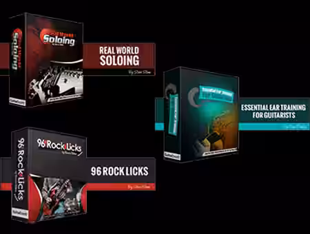 Real World Soloing, 96 Rock Licks, Ear Training with Steve Stein and Dan Denley (2016) [TUTORiAL] - Sample Pack Artwork