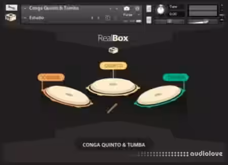 RealBox Conga Quinto and Tumba v1.0 [KONTAKT] - Sample Pack Artwork