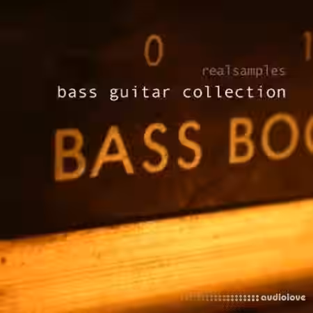 Realsamples Bass Guitar Collection [MULTiFORMAT] - Sample Pack Artwork