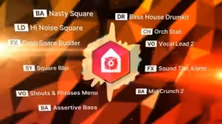 reFX Bass House Nexus 5 Expansion [Synth Presets] - Sample Pack Artwork