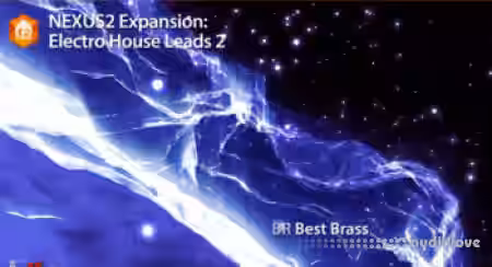 ReFX Nexus Electro House Leads 2 [Synth Presets] - Sample Pack Artwork