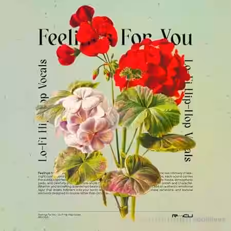 Renraku Feelings For You - Lofi Vocals [WAV] - Sample Pack Artwork