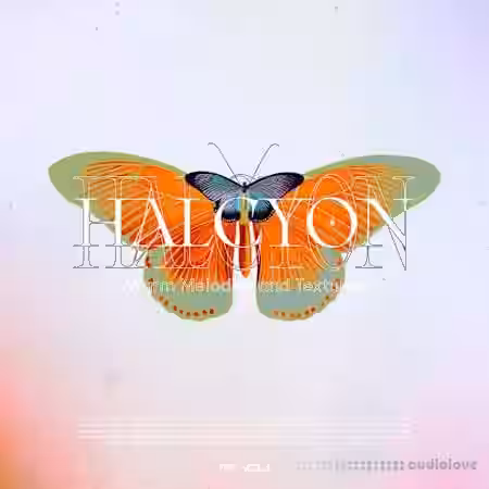 Renraku Halcyon Warm Melodics And Textures [WAV] - Sample Pack Artwork