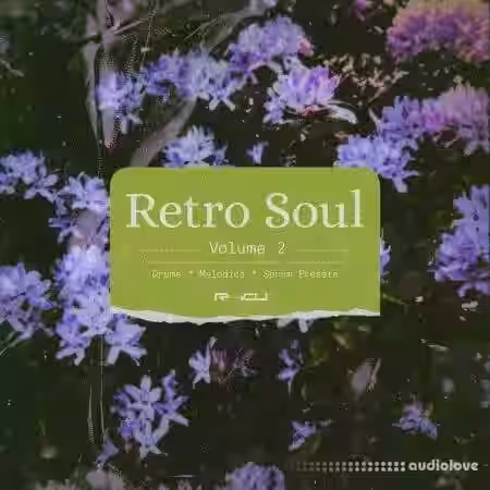 Renraku Retro Soul 2 [WAV, Synth Presets] - Sample Pack Artwork