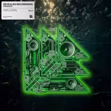 Revealed Recordings Revealed Top Loops Vol.13 [WAV] - Sample Pack Artwork