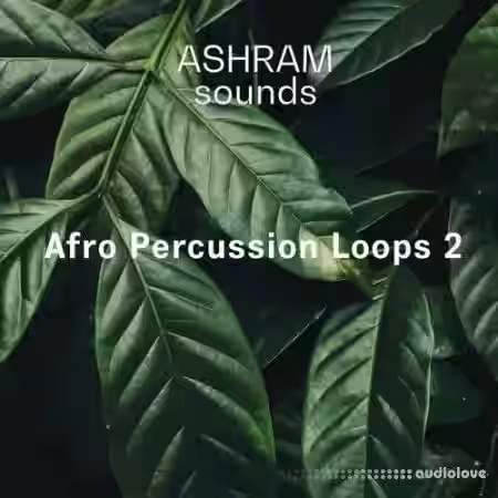 Riemann Kollektion ASHRAM Afro Percussion Loops 2 [WAV] - Sample Pack Artwork