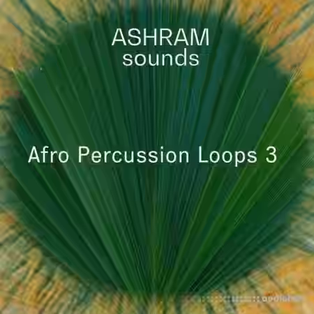 Riemann Kollektion ASHRAM Afro Percussion Loops 3 [WAV] - Sample Pack Artwork