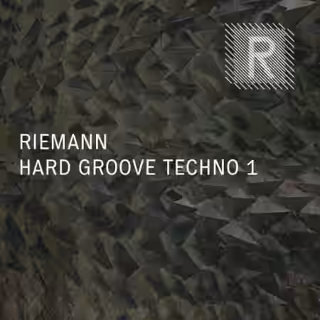 Riemann Kollektion Riemann Hard Groove Techno 1 [WAV] - Sample Pack Artwork