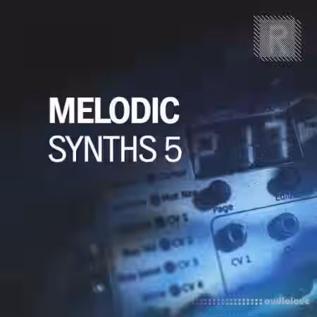 Riemann Kollektion Riemann Melodic Synths 5 [WAV] - Sample Pack Artwork