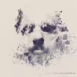 Robin Andrews Dramatic DnB [WAV]