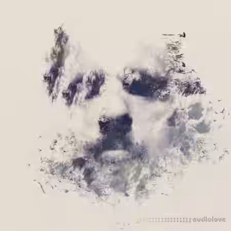 Robin Andrews Dramatic DnB [WAV] - Sample Pack Artwork