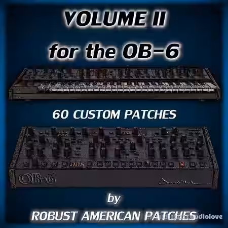 Robust American Patches 100 Patches for the OB-6 Synthesizer (Volume 2) [Synth Presets] - Sample Pack Artwork