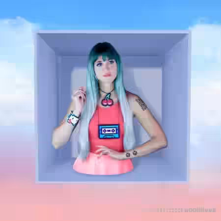 ROLI Equator 2 and ROLI Studio Expansion: Chiptune Bubblegum [Synth Presets] - Sample Pack Artwork