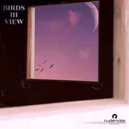 Rudenote Birds iii View [WAV] - Sample Pack Artwork