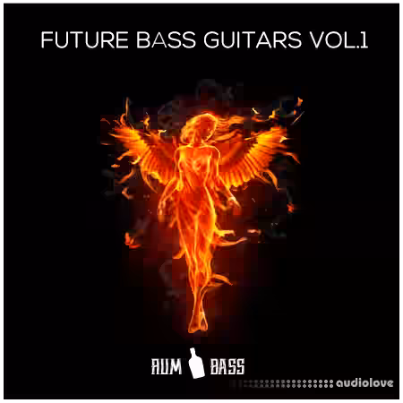 Rum n Bass Records Future Bass Guitars Vol.1 [WAV] - Sample Pack Artwork