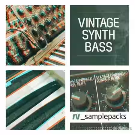 RV Samplepacks Vintage Synth Bass [WAV, MiDi, REX] - Sample Pack Artwork