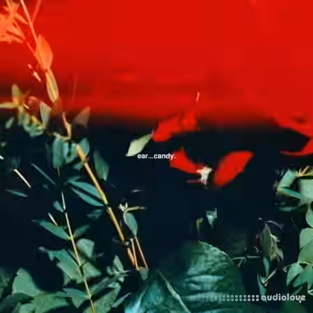 Sam Brodie ear...candy (Compositions and Stems) [WAV, MiDi] - Sample Pack Artwork