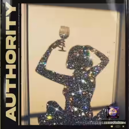 Sample Hub Authority [WAV] - Sample Pack Artwork