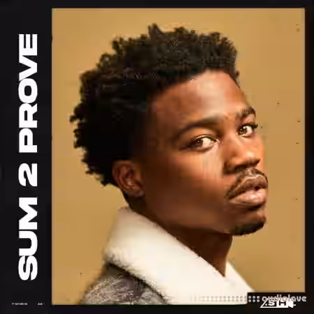 Sample Hub Sum 2 Prove [WAV] - Sample Pack Artwork