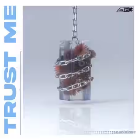Sample Hub Trust Me [WAV, MiDi] - Sample Pack Artwork