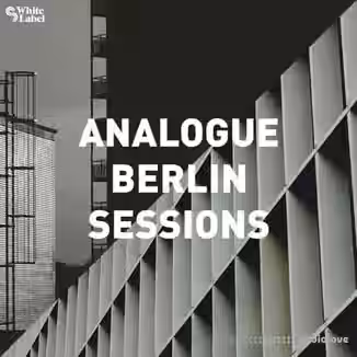 Sample Magic Analogue Berlin Sessions [WAV]