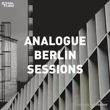 Sample Magic Analogue Berlin Sessions [WAV] - Sample Pack Artwork