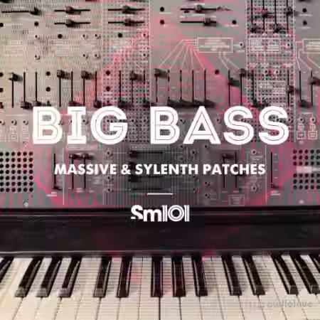 Sample Magic SM101 Big Bass Patches [Synth Presets, MiDi] - Sample Pack Artwork