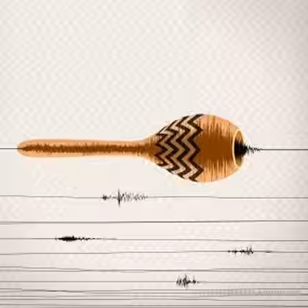 Samplephonics Electroacoustic Shaker Percussion [WAV, REX, AiFF] - Sample Pack Artwork