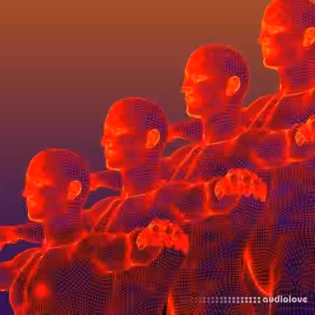 Samplephonics Kinetic Sequences [MULTiFORMAT] - Sample Pack Artwork