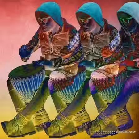 Samplephonics Live House Percussion [MULTiFORMAT] - Sample Pack Artwork