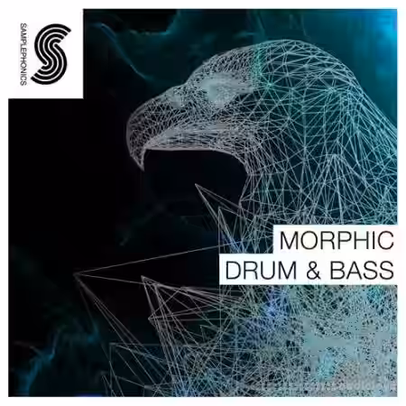 Samplephonics Morphic Drum and Bass [MULTiFORMAT] - Sample Pack Artwork